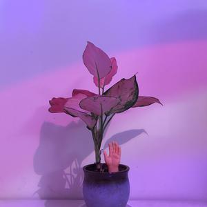 美母教师成为同学
