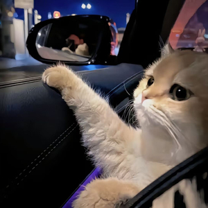 美母教师成为同学
